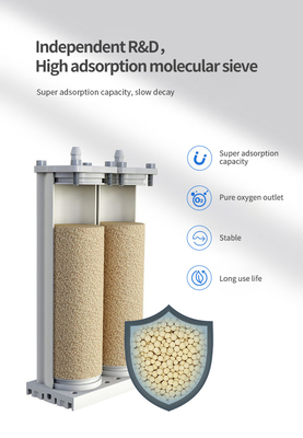 Remote Control Medical Oxygen Generator With Nebulizer For Patients