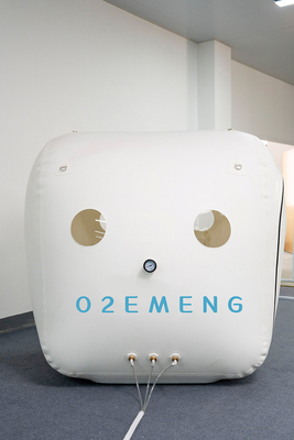 Perfect Quality All-In-One Machine Grade 1.3-1.5ATA Wheelchair Type Hyperbaric Oxygen Chamber For Healing