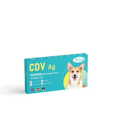 DOVT Canine Distemper Virus CDV Antigen Detection Kit for High Detection and Accuracy