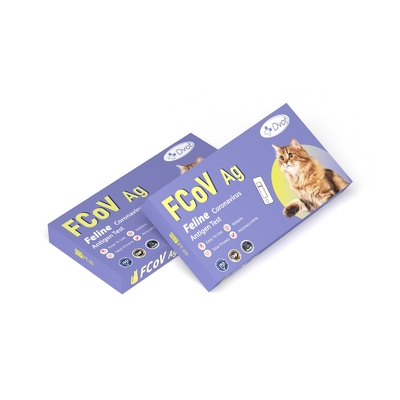Disposable FCoV Antigen Test for Cats Easy and Fast Protects Health in 8 Minutes