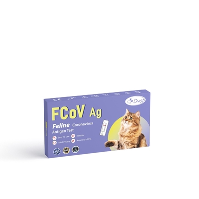 Disposable FCoV Antigen Test for Cats Easy and Fast Protects Health in 8 Minutes