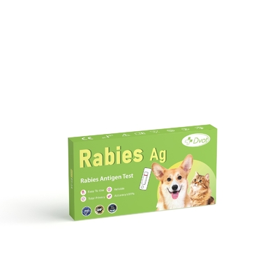Canine And Feline Rabies Antigen Test For Testing Rabies Accuracy 99% And Easy To Use