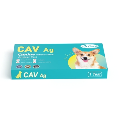 Disposable Canine Adeno Virus Antigen Test with CE and ISO Certification 99% Accuracy