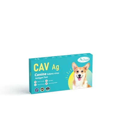 Veterinary Canine Adeno Virus Test Kit Antigen Combo Rapid Test For Dog