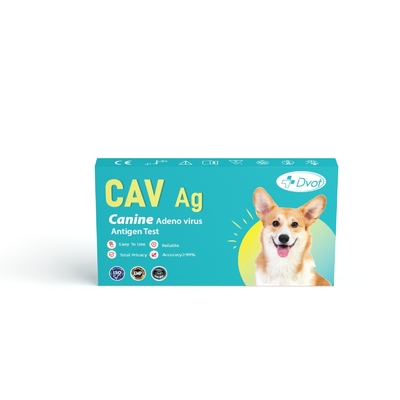 Veterinary Canine Adeno Virus Test Kit Antigen Combo Rapid Test For Dog