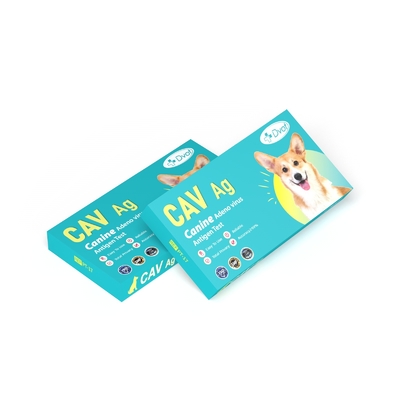 Disposable Canine Adeno Virus Antigen Test with CE and ISO Certification 99% Accuracy